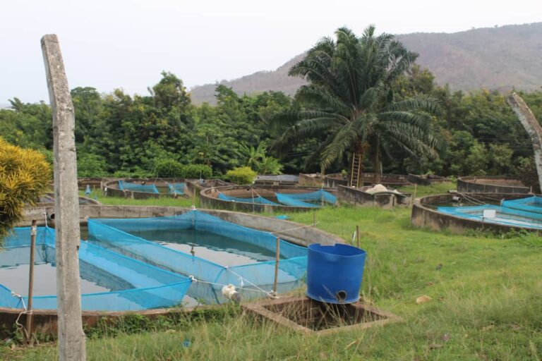 Aquaculture ponds